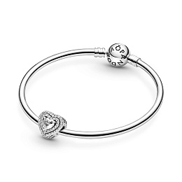 PANDORA Moments Արծաթյա Չարմ/ 799218C01