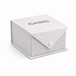Casio General Мужские Наручные часы/ MW-240-1EVDF