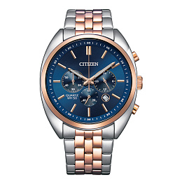 Citizen  Мужские  Наручные часы/ AN8216-50L