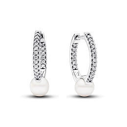PANDORA Timeless Silver Earring/ 293171C01