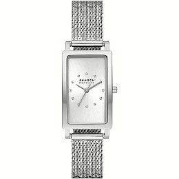 Skagen  Ladies  Wristwatch/ SKW3115