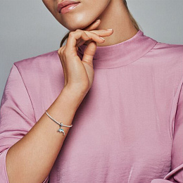 PANDORA Moments Արծաթյա Չարմ/ 798947C01