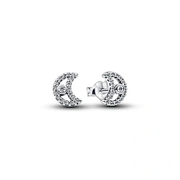 Pandora Timeless Արծաթյա Ականջօղ/294257C01