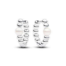 PANDORA Timeless Silver Earring/ 293178C01