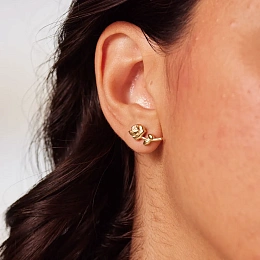 Brosway Earring/ BHKE199