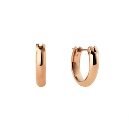 Daniel Wellington Ականջօղ/ DW00401950