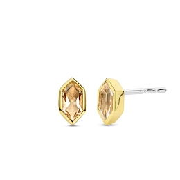 Ti Sento 14K Gold Plated Silver Earring/ 7944NU