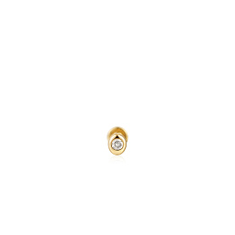 Ania Haie 14K Ոսկյա Ականջօղ/ EAU004-01YG