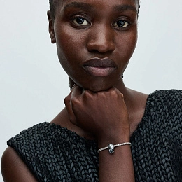 PANDORA Moments Արծաթյա Չարմ/ 793137C01