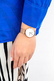Daniel Wellington  Ladies  Wristwatch/ DW00100163