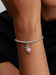 Pandora Silver Bracelet and Charm Set
