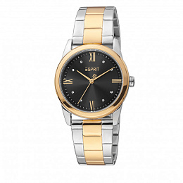Quartz Wristwatch/ES1L217M1105