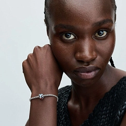 PANDORA Moments Արծաթյա Չարմ/ 793141C01