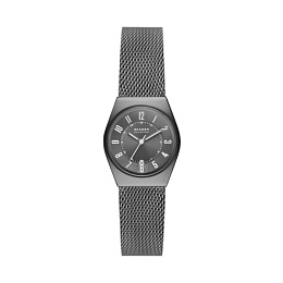 Skagen  Женские  Наручные часы/ SKW3039