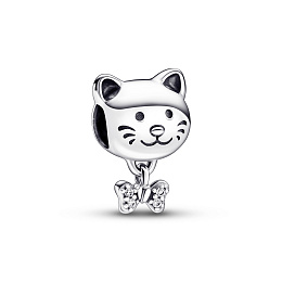 PANDORA Moments Silver Charm/ 792255C01
