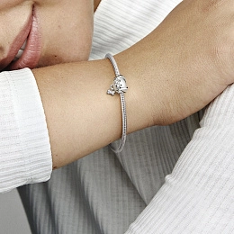 PANDORA Moments Silver Charm/ 792254C01