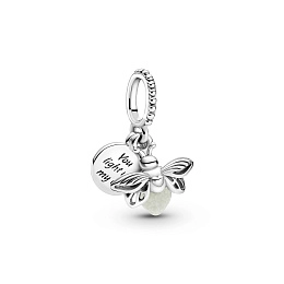 PANDORA Moments Արծաթյա Չարմ/ 799352C01