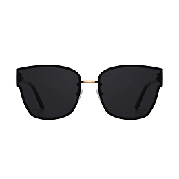 Sunglasses / DW00900013