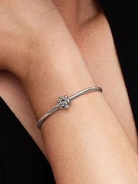 Pandora Timeless Серебряный Шарм/794249C01