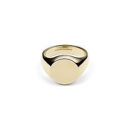 Daniel Wellington Gold PVD Ring/DW00401172