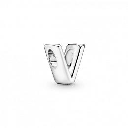 PANDORA Moments Արծաթյա Չարմ/ 797476