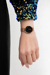 Daniel Wellington  Կանացի  Ժամացույց/ DW00100217