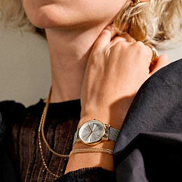 Skagen  Կանացի  Ժամացույց/ SKW3153SET