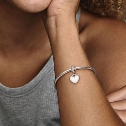 PANDORA Moments Silver Charm/ 798761C01