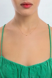 Ania Haie 14K Ոսկյա Վզնոց/ NAU001-04YG