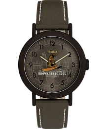 Timex Unisex Quartz Wristwatch/ TW2Y77000