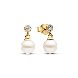 PANDORA Timeless 14K Ոսկեպատ Արծաթյա Ականջօղ/ 263153C01