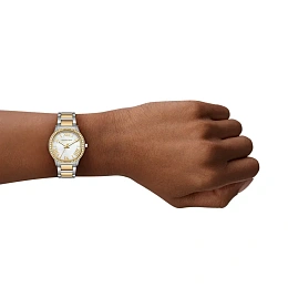 Michael Kors Ladies Quartz Wristwatch/ MK4910