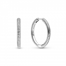 PANDORA Moments Արծաթյա Ականջօղ/ 299532C00