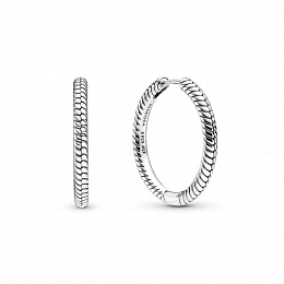 PANDORA Moments Արծաթյա Ականջօղ/ 299532C00