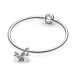 PANDORA Moments Արծաթյա Չարմ/ 799352C01