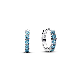 PANDORA Timeless Արծաթյա Ականջօղ/ 293849C01