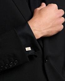 Emporio Armani Չժանգոտվող պողպատից Ճարմանդ/ EGS3241060