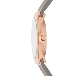 Skagen  Женские  Наручные часы/ SKW3079