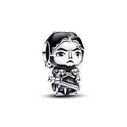 PANDORA Moments Արծաթյա Չարմ/ 793137C01