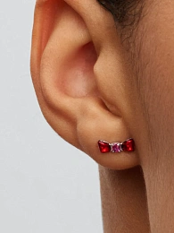 PANDORA 925 Sterling Silver Earring/293779C01