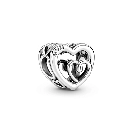 PANDORA Moments Silver Charm/ 790800C00