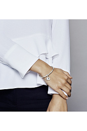 PANDORA Moments Արծաթյա Չարմ/ 798012FPC