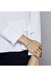 PANDORA Moments Արծաթյա Չարմ/ 798012FPC