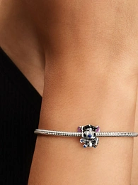 PANDORA 925 Sterling Silver Charm/793789C01