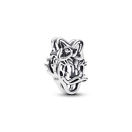 PANDORA Disney Silver Charm/ 793910C00