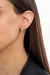 Daniel Wellington Earring/ DW00400148