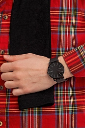 Skagen  Мужские  Наручные часы/ SKW6579