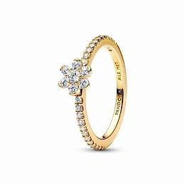 Pandora Timeless 14K Gold Plated Ring/ 164499C01-56