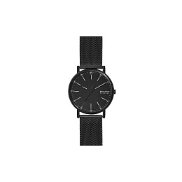 Skagen  Мужские  Наручные часы/ SKW6579