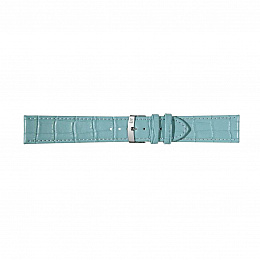 Watch Strap/A01X4934A95076CR18